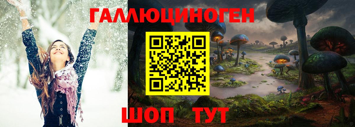 купить  цена  Псилоцибиновые грибы мухоморы  Вход с VPN  Сунжа 