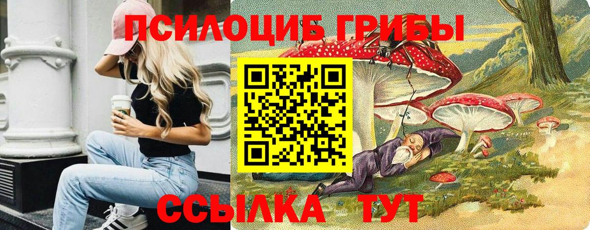 Галлюциногенные грибы Psilocybine cubensis Сунжа