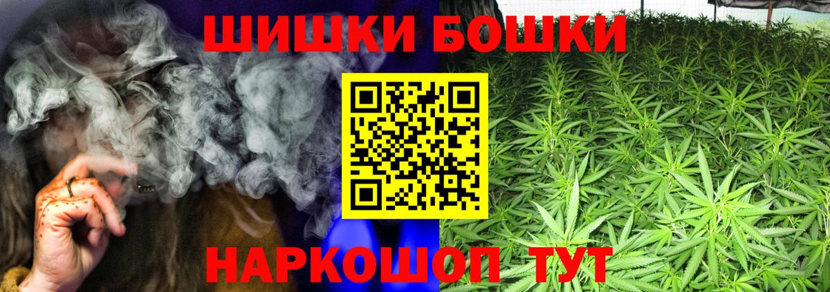 Каннабис план  Каннабис OG Kush  Сунжа  Бошки марихуана Bruce Banner  Вход с VPN 